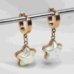 Western Rose Gold Drop Earring Stainless Steel