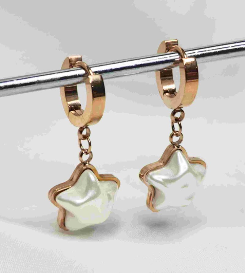 Western Rose Gold Drop Earring Stainless Steel