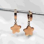 Western Rose Gold Drop Earring Stainless Steel