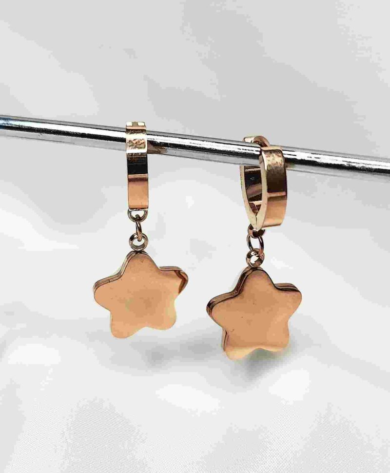 Western Rose Gold Drop Earring Stainless Steel