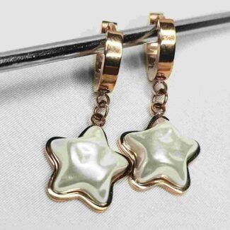 Western Rose Gold Drop Earring Stainless Steel