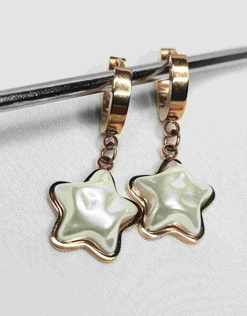 Western Rose Gold Drop Earring Stainless Steel